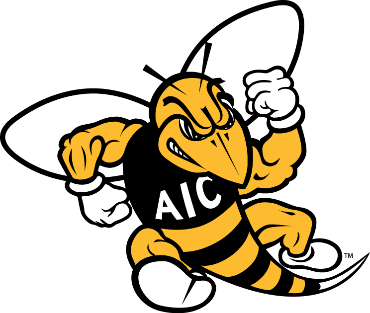 AIC Yellow Jackets decals